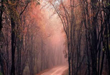 真白嫖！免费申请 office E5 开发者账号，送5T私人网盘，附无限续期的教程