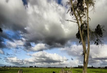 Bulk Crap Uninstaller，开源免费功能强大的软件卸载神器