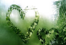 2024年远控软件年度盘点：RustDesk、ToDesk、TeamViewer、AnyDesk 