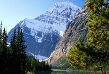 2024年远控软件年度盘点：RustDesk、ToDesk、TeamViewer、AnyDesk 